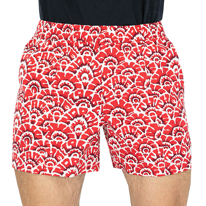 The North Face - Shorts